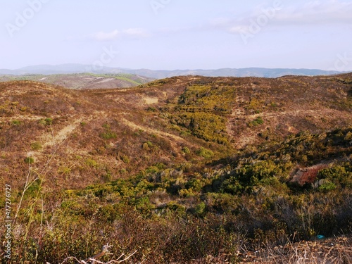 Paysage typique de l'Alentejo au sud du Portugal