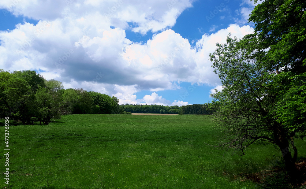 Herrliche Sommerlandschaft bei Isenburg im Landkreis Neuwied im Westerwald auf dem Wanderweg Wäller Tour Iserbachschleife. Herrliche Sommerlandschaft bei Isenburg im Landkreis Neuwied im Westerwald auf dem Wanderweg Wäller Tour Iserbachschleife.