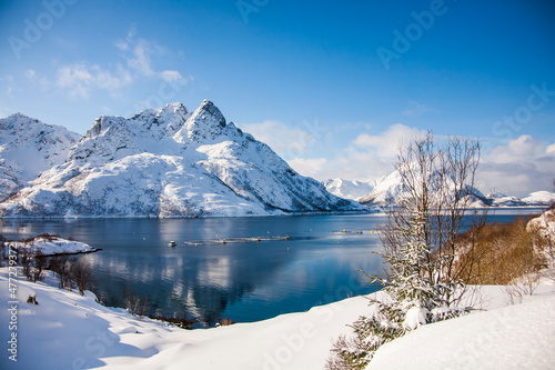 Winter in Lofoten Islands, Northern Norway © Alberto Gonzalez 