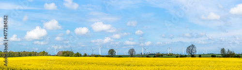 Valokuva Windmill farm in Poland. Wind park and rapeseed field, panorama.