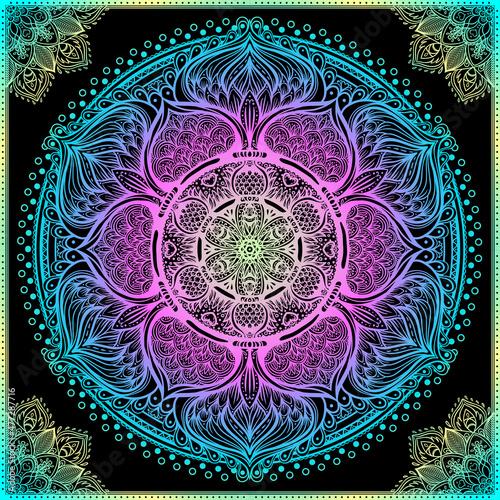 Vector ornamental mandala inspired ethnic art, patterned Indian paisley. Hand...