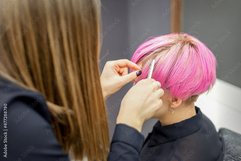 Fototapeta premium Hairdresser prepares dyed short pink hair of a young woman to procedures in a beauty salon