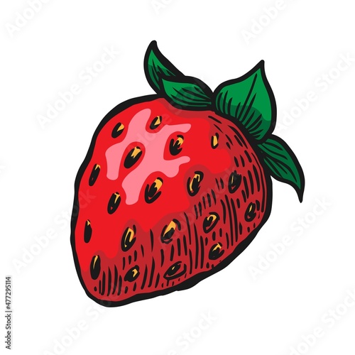 Red strawberry vector illustration isolated on white background