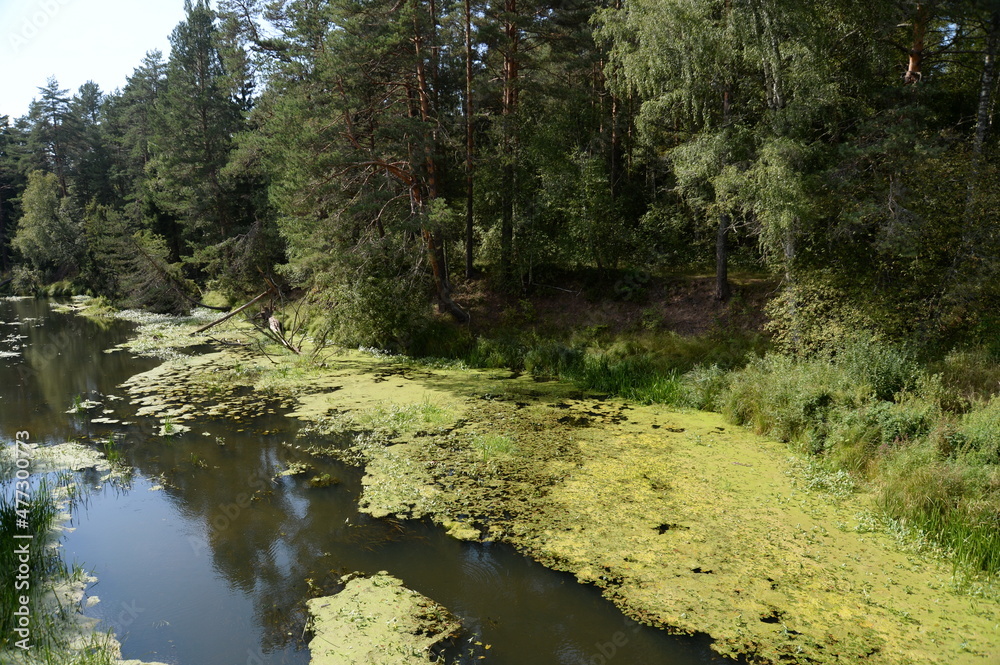 The Nerl River in the Yaroslavl region. Russia The Nerl River in the Yaroslavl region. Russia
