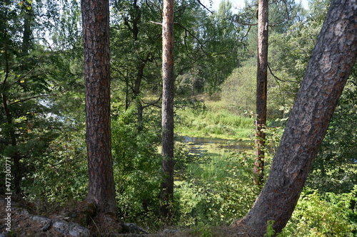 The Nerl River in the Yaroslavl region near the former estate of singer Fyodor Chaliapin photo