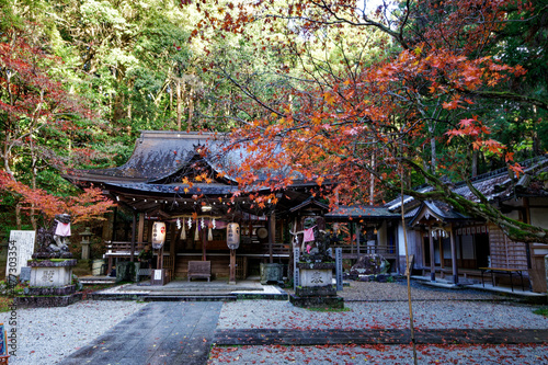 紅葉に彩られた神社