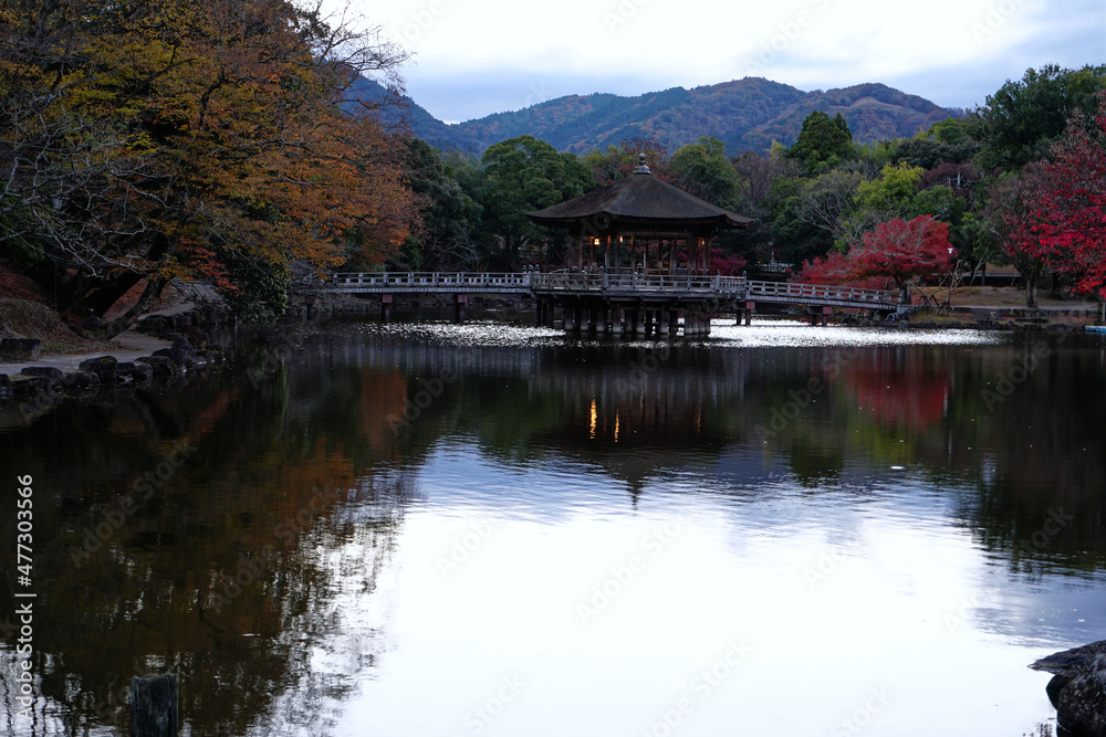 Fototapeta premium 鏡面反射の浮見堂