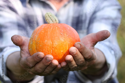 Photos Orange pumpkin in hard-working male hands
