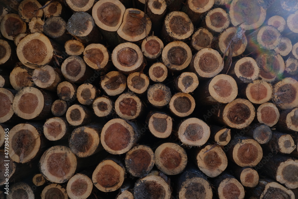 Logs Logs