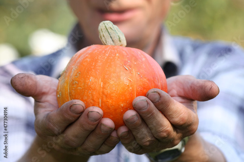 Tableau sur toile Orange pumpkin in hard-working male hands