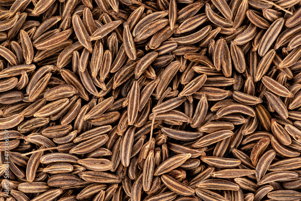 Closeup detail of caraway seeds meridian fennel - Carum carvi shot from above, image width 23mm Closeup detail of caraway seeds meridian fennel - Carum carvi shot from above, image width 23mm