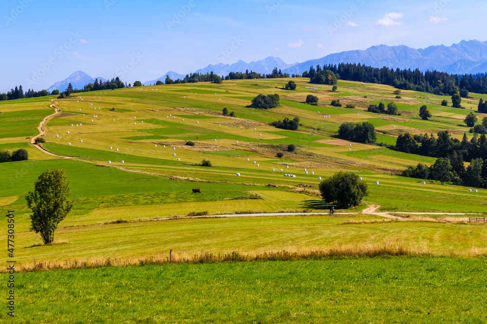 Hay stacks on green fields and beautiful panorama of Tatra Mountains, Poland