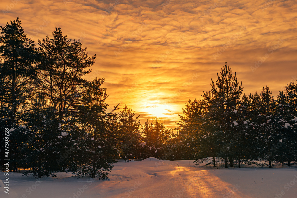 Winter landscape with snow-covered forest at sunset Winter landscape with snow-covered forest at sunset