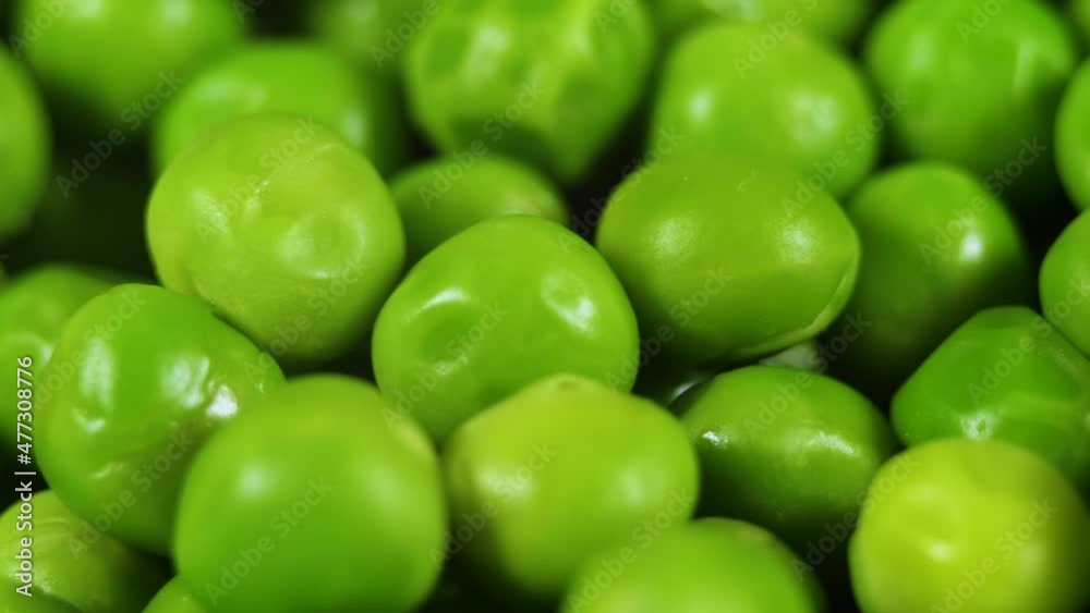 Macro Shot Fresh Organic Green Peas. Healthy Vegetarian food. Close Up Green Peas Background Rotating. Vegetable Harvest Healthy Eating. Beautiful Texture Close-up of Fresh Green Peas. Macro Shot Fresh Organic Green Peas. Healthy Vegetarian food. Close Up Green Peas Background Rotating. Vegetable Harvest Healthy Eating. Beautiful Texture Close-up of Fresh Green Peas.