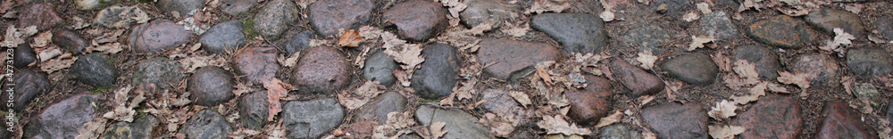 Stone paving and fallen oak leaves