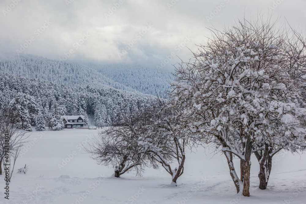 Obraz premium Lake Golcuk in the Winter Season, Golcuk National Park, Bolu Turkey