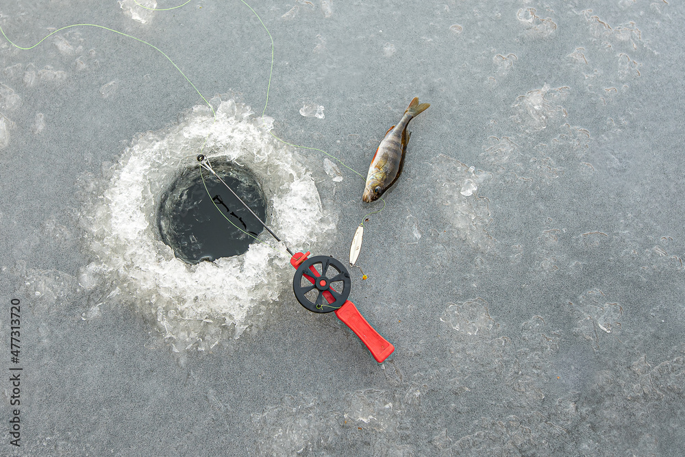 red fishingrod and a silver lure next to a hole in the ice and a perch