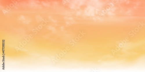 Panorama Clear yellow sky and white cloud detail with copy space. Sky Landscape Background.Summer heaven with colorful clearing sky. Vector illustration. Beautiful nature.sky clouds background.