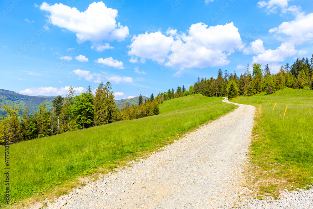 Scenic mountain road in summer landscape of Silesian Beskid Mountains near Wisla town, Poland