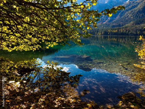 Fototapeta Naklejka Na Ścianę i Meble -  Autumn foliage reflections in the cristal clear waters of Tovel lake, Dolomites, Italy