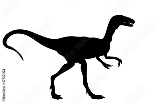 Dinosaur silhouette. Compsognathus. Dino. Isolated illustration of a dinosaur.