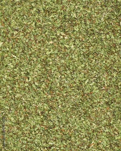 Layer of green oregano