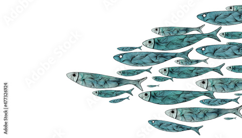 Siluetas de sardinas en el mar. Banco de peces pintado en acuarela. Fondo blanco.  Estilo japonés, ornamental photo