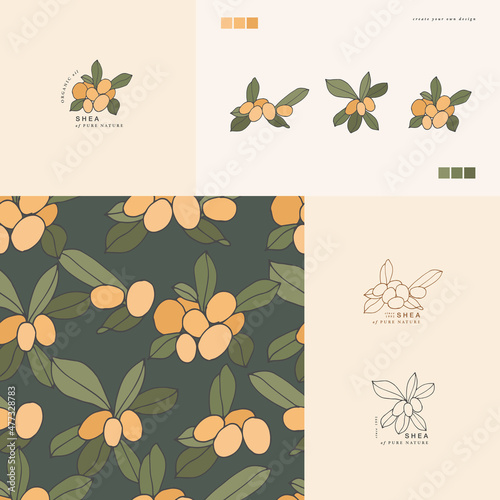 Canvas Print Vector illustration shea branch - vintage engraved style