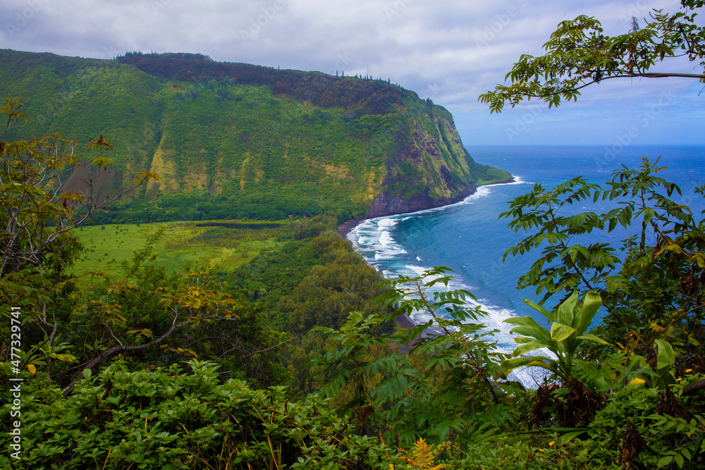 Beautiful, scenic view of lush, tropical Waipio Valley on the Big Island, Hawaii
 - obrazy, fototapety, plakaty 