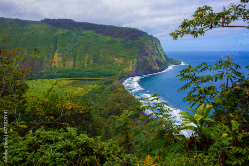 Beautiful, scenic view of lush, tropical Waipio Valley on the Big Island, Hawaii
 photo