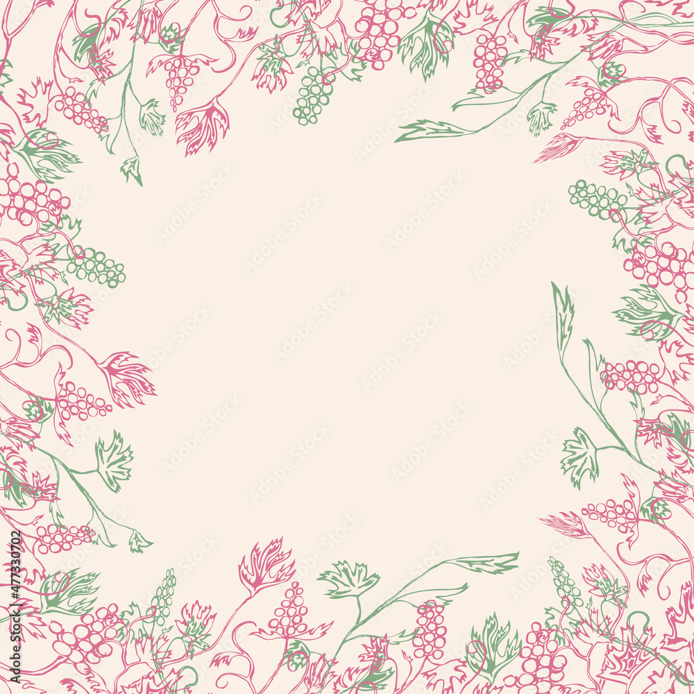 Decorative background with border from outlines vine branches with ripe grape berries