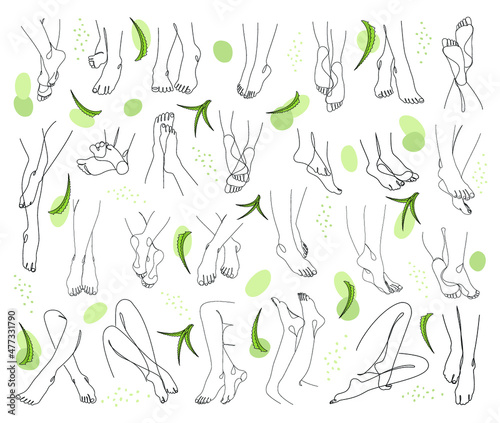 Collection. Silhouettes of lady legs, feet and aloe vera leaves in modern style. Solid one line drawing, outline for decor, wall posters, stickers, logo. Set of vector illustrations.