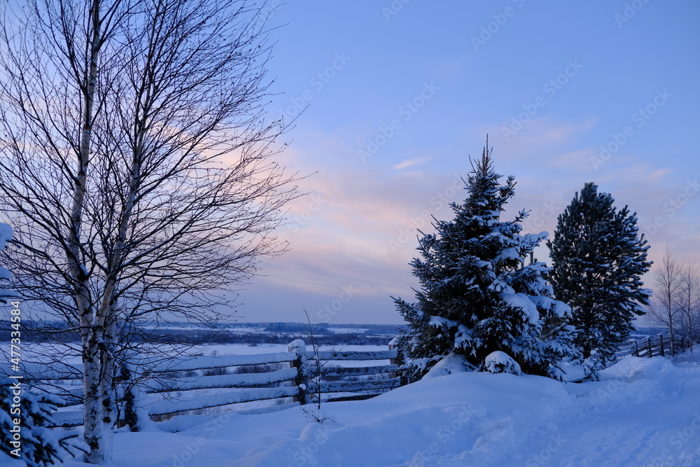 Fototapeta premium Winter beautiful landscape in the snow