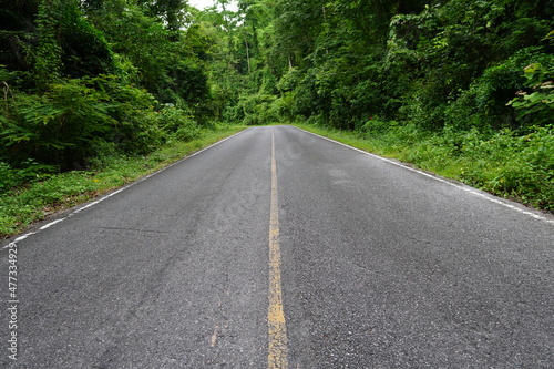 The road through the jungle. Thailand Khao Yai National Park.