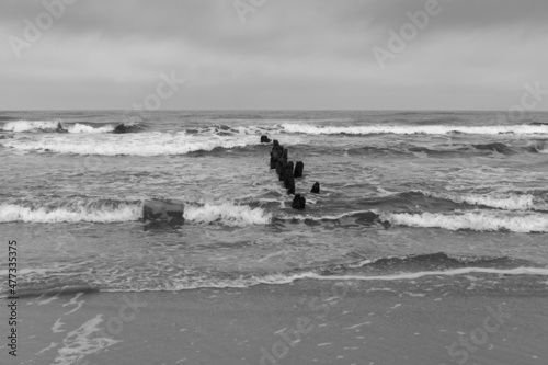Wallpaper Mural Baltic Sea, wooden breakwater, wooden piles, cloudy December day, big waves at sea, black and white photo  Torontodigital.ca