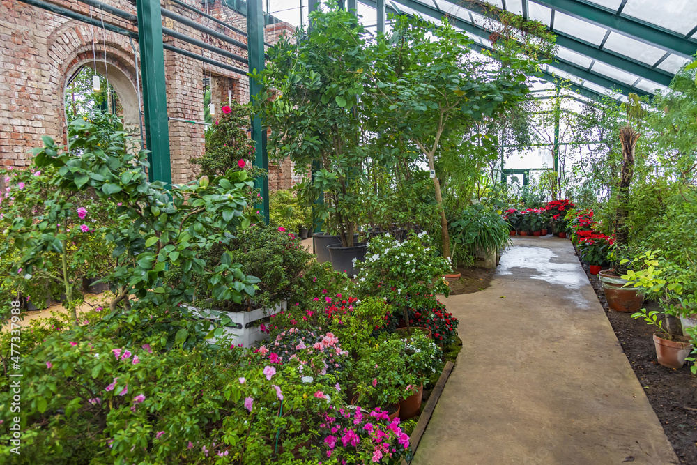 The idea of decorating the interior of a winter garden with tropical and exotic plants The idea of decorating the interior of a winter garden with tropical and exotic plants