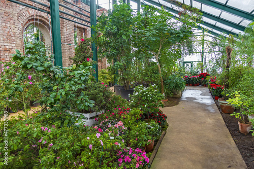The idea of decorating the interior of a winter garden with tropical and exotic plants