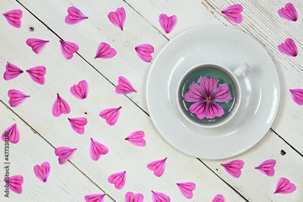 Herbal tea from fresh flowers of Wild mallow, lat. Malva sylvestris, flat lay, white wooden table. Medicinal herb is used against cough and inflammation. Herbal tea from fresh flowers of Wild mallow, lat. Malva sylvestris, flat lay, white wooden table. Medicinal herb is used against cough and inflammation.