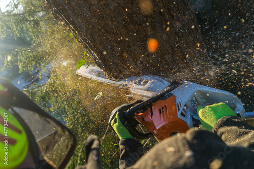 aborist with a chainsaw, professional tree care