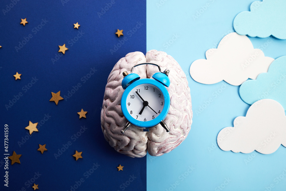 The circadian rhythms are controlled by circadian clocks or biological clock - obrazy, fototapety, plakaty 