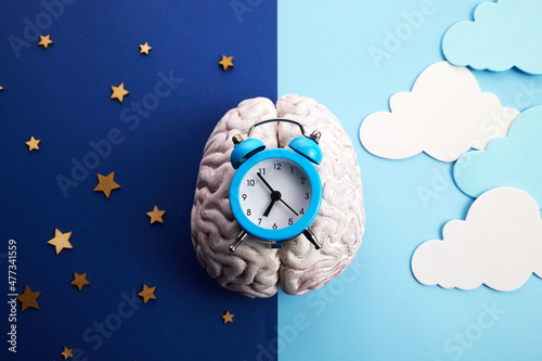 The circadian rhythms are controlled by circadian clocks or biological clock photo