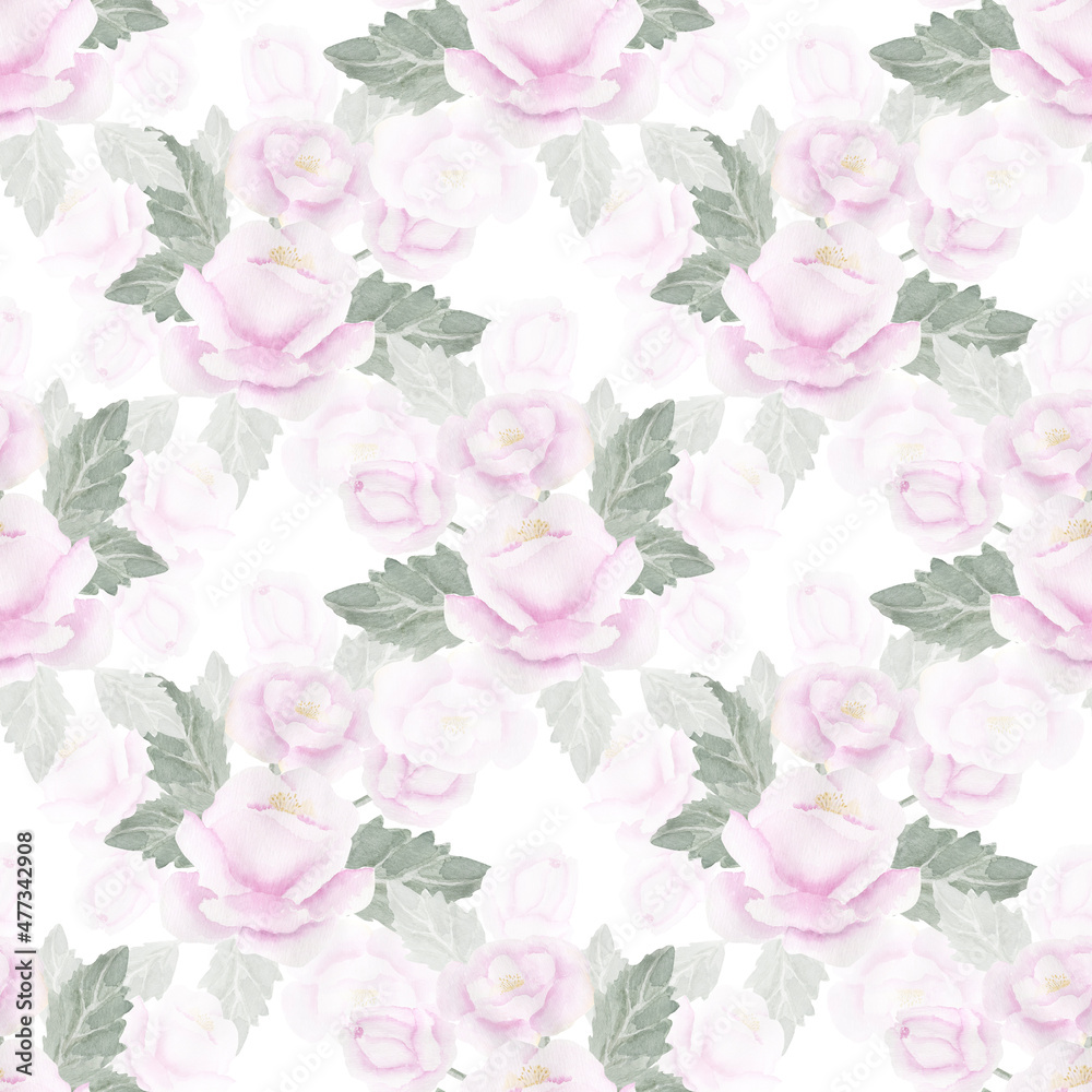 Delicate pink roses . Watercolor illustration for invitations, congratulations, design.  Seamless pattern.