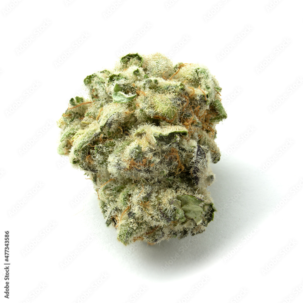 Marijuana Bud Marijuana Bud