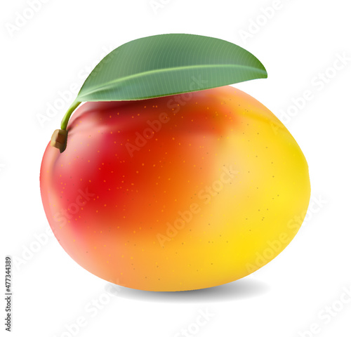 Mango with leaf 