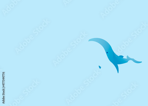 Balena blu su fondo azzurro  photo