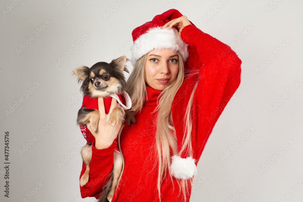 Christmas image of woman with blonde hair and white skin isolated on grey in red cap with small dog Christmas image of woman with blonde hair and white skin isolated on grey in red cap with small dog
