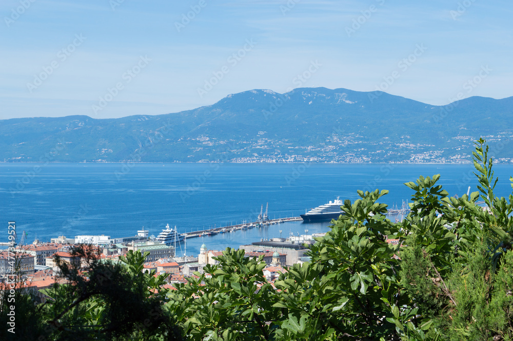 Rijeka, Croatia, a panoramic view over the city, beautiful Adriatic sea and Učka mountains, a view through a fig tree