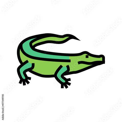 alligator wild reptile color icon vector. alligator wild reptile sign. isolated symbol illustration