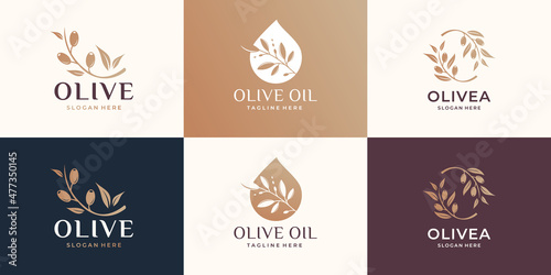 olive logo inspiration template. olive oil, essential olive oil, feminine beauty, fashion store.