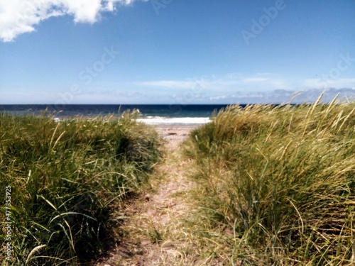 Sand dunes  beach sea view.